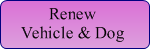 Click to go to the Vehicle and Dog license payments page.